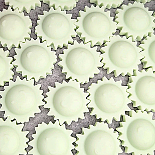Solar Starfruit Wax Melts