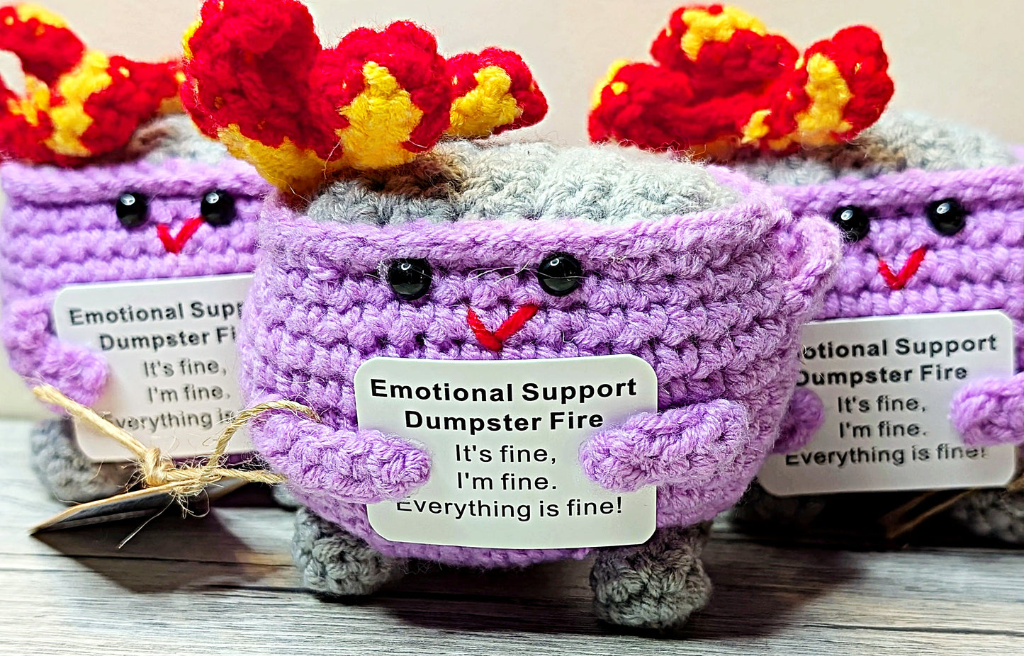 Emotional Support Dumpster Fire