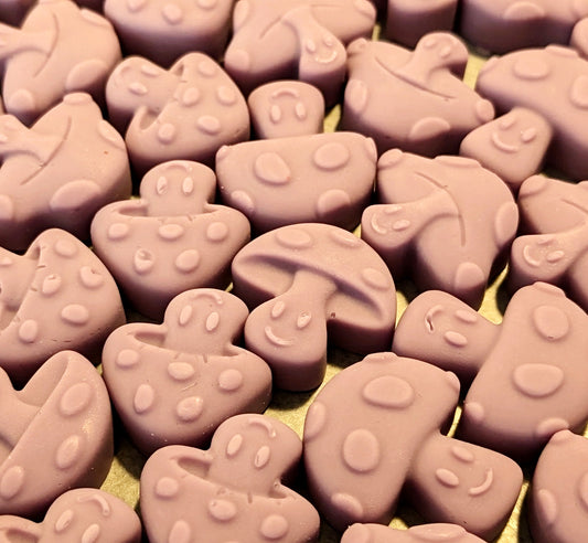 Palo Santo & Sandalwood Wax Melt