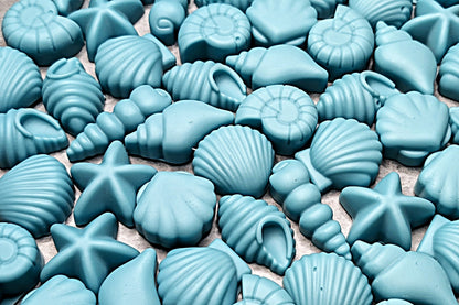 Lotus Cove Seashell Wax Melt
